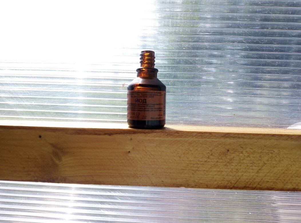 Эффективная защита тепличных томатов от фитофторы с использованием йода