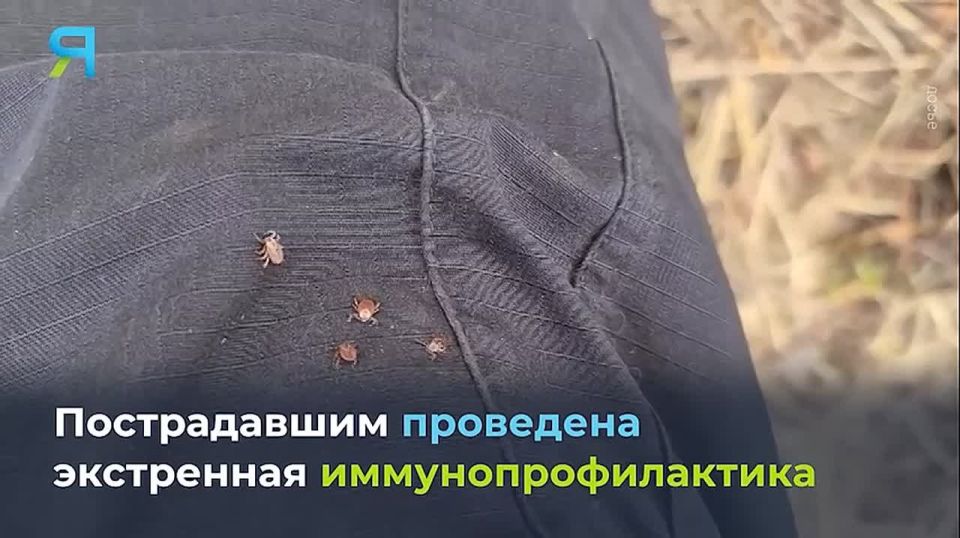 ����� ����������: ������ ������ ������ � ���� ������