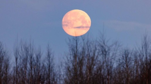 ������� �� ���� 2 ������: ������ �������