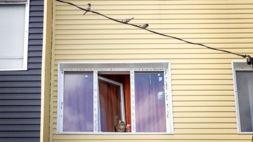 Апрель на Ямале начнётся с погодной аномалии