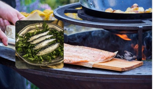 Сардины впереди: как неприметная рыба опережает лосося и форель по пользе