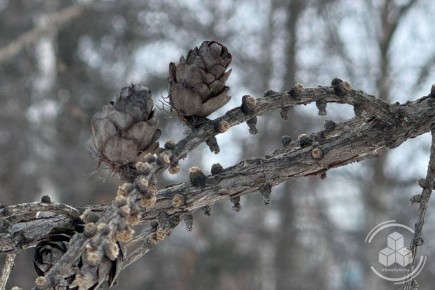 �������� ������ � �������� ���!