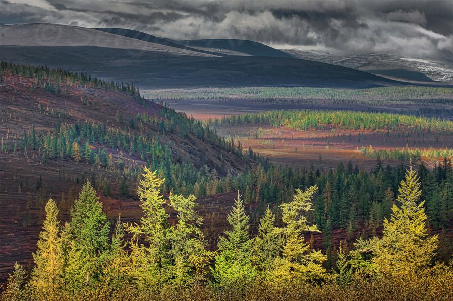 � ��������� ����������� ������� ��������� ����������