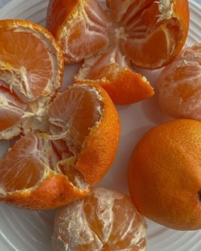 ������ �� ����: ���� � ������ � �������� ���������