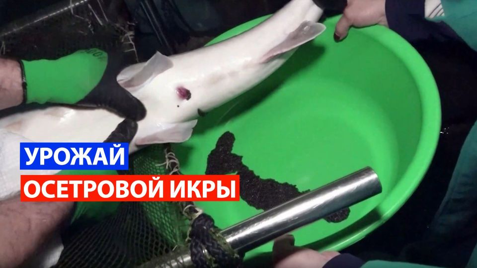 ����� � ����� �������� ������ ����