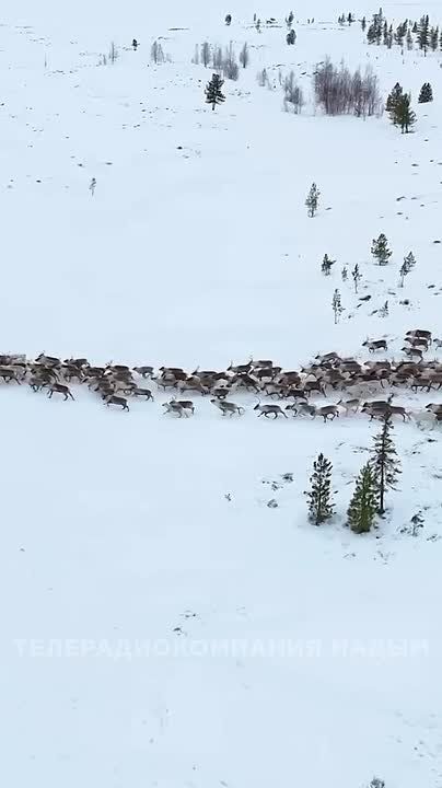 ��� �� ������ ������� ����� � ������ �����