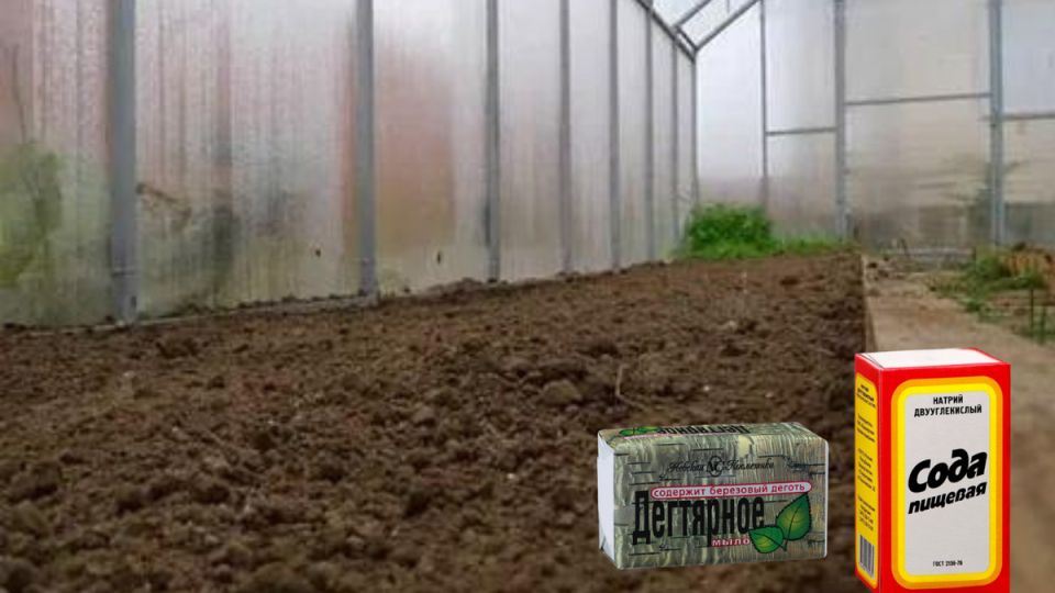 ������� ������� ���������� �������