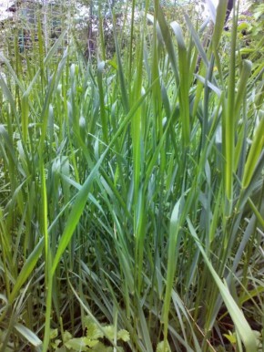 �������, ������� ����� ������: ����������� ������ ������ ����