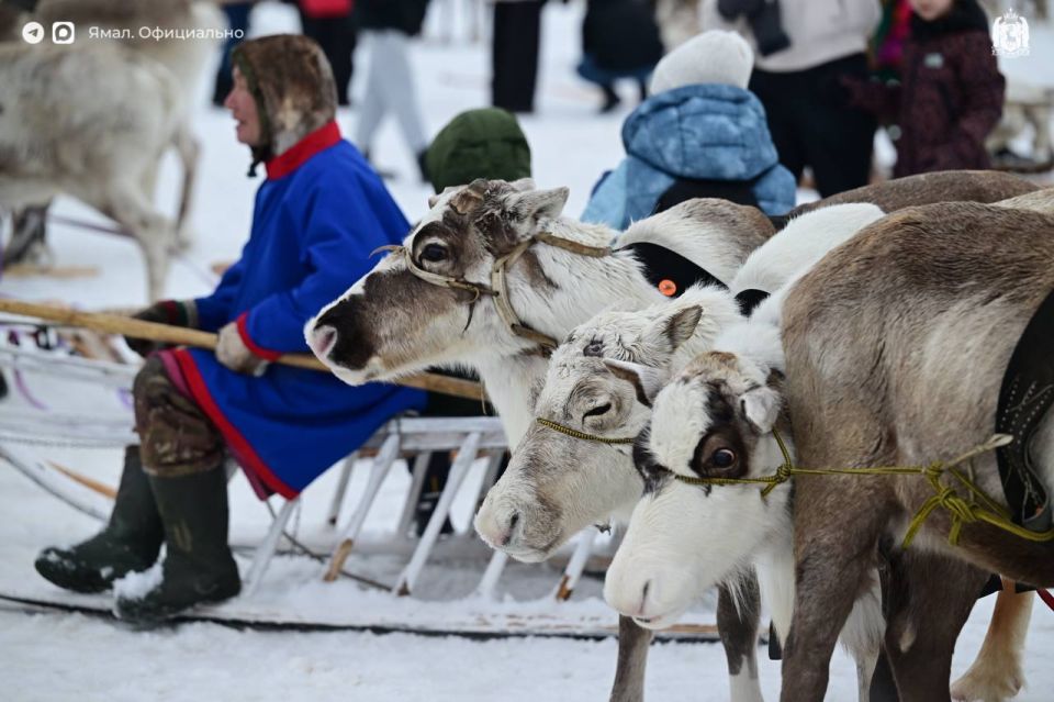 ����� ������� � ����� ���������