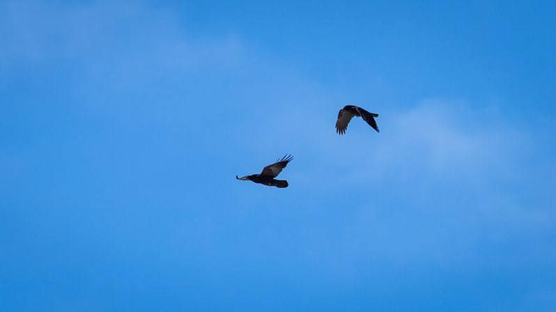 4 ������ � ������� ����. �� ������ ���� ���� ������� ������ ��������� ��������� �����