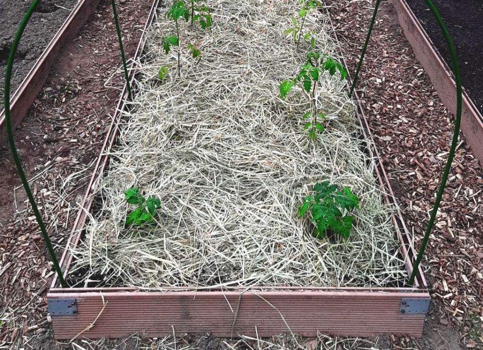 ����������� ������: ��� ��� ������� ����� � ������