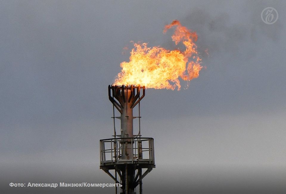 В ЯНАО доля убыточных организаций в сфере добычи полезных ископаемых увеличилась с 34,7% в январе 2025 года до 49% в начале 2026-го