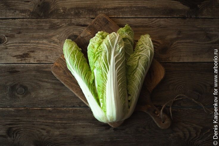 ��������, ������� �� ����� ������������