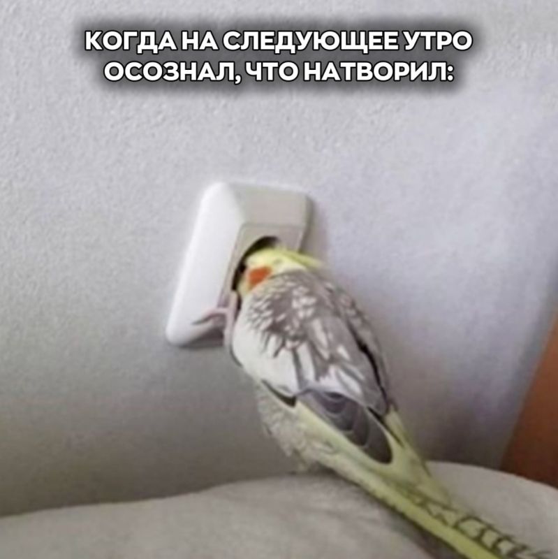 ������ ���������� � ����������� �� ������������ ���� ��� ������ � �������������