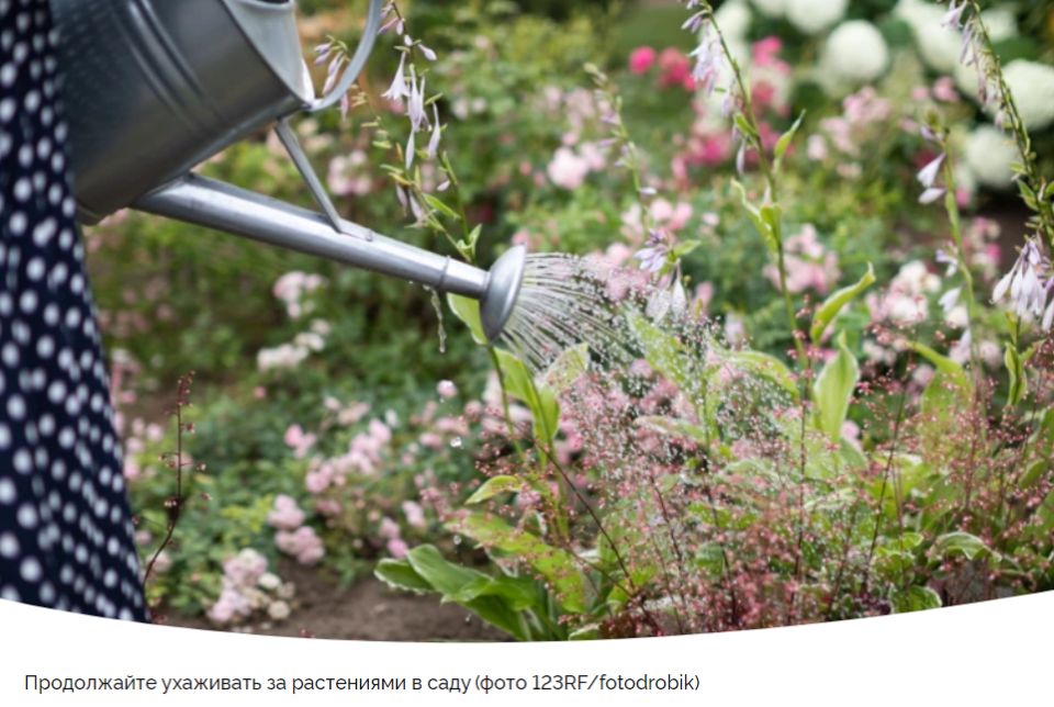 ������ ��������� ��� ���������: 8-14 ����