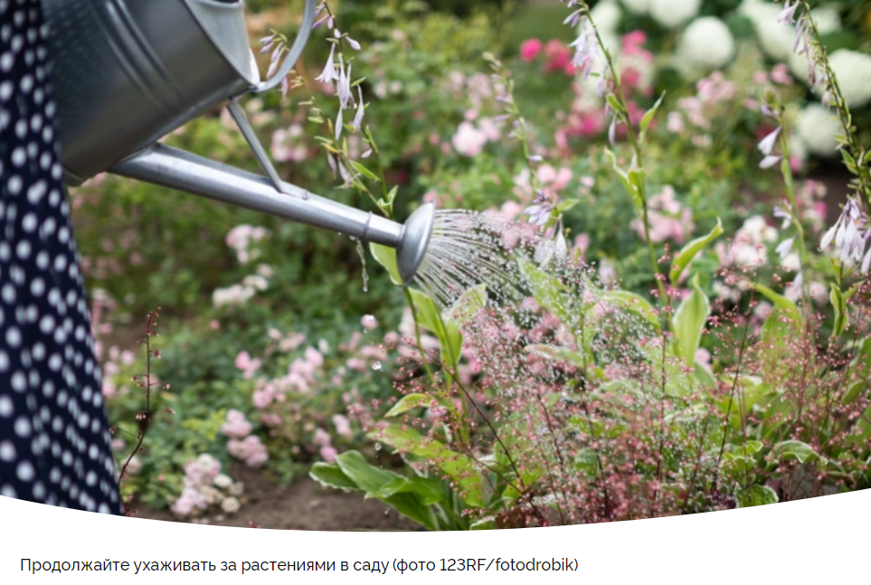 Лунный календарь для садоводов: 8-14 июля