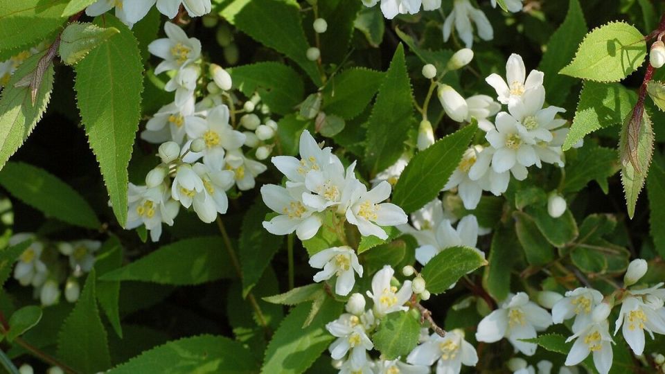 ��� ��������� ������ ������: ������ ��� ���������