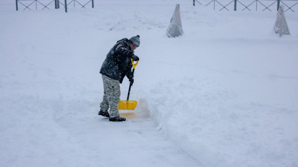 � ��������� �������� ������� ����������� ��������