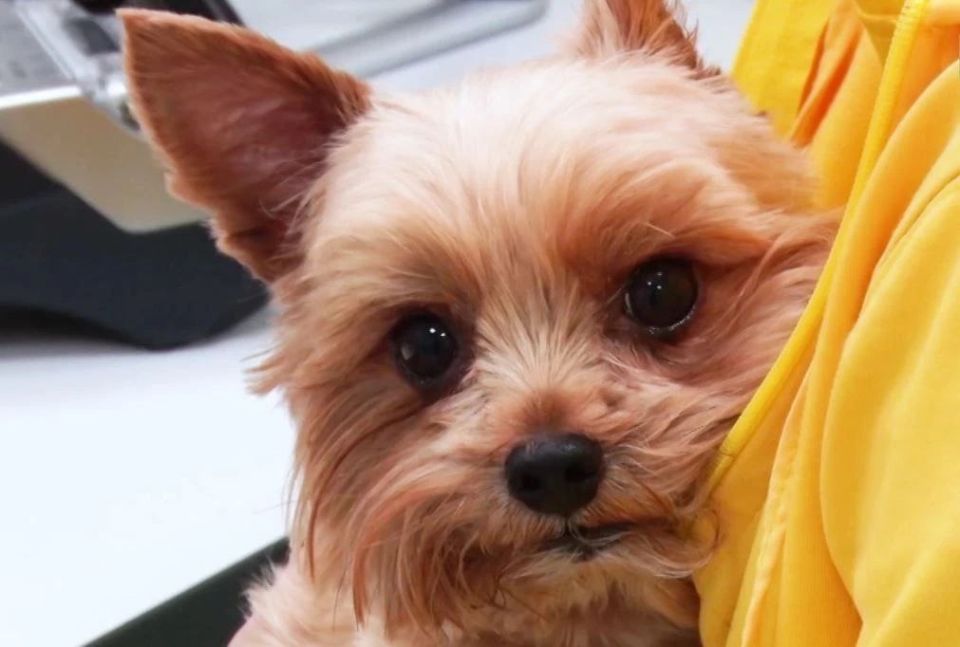 ���, ���� � ����� � �� ��������