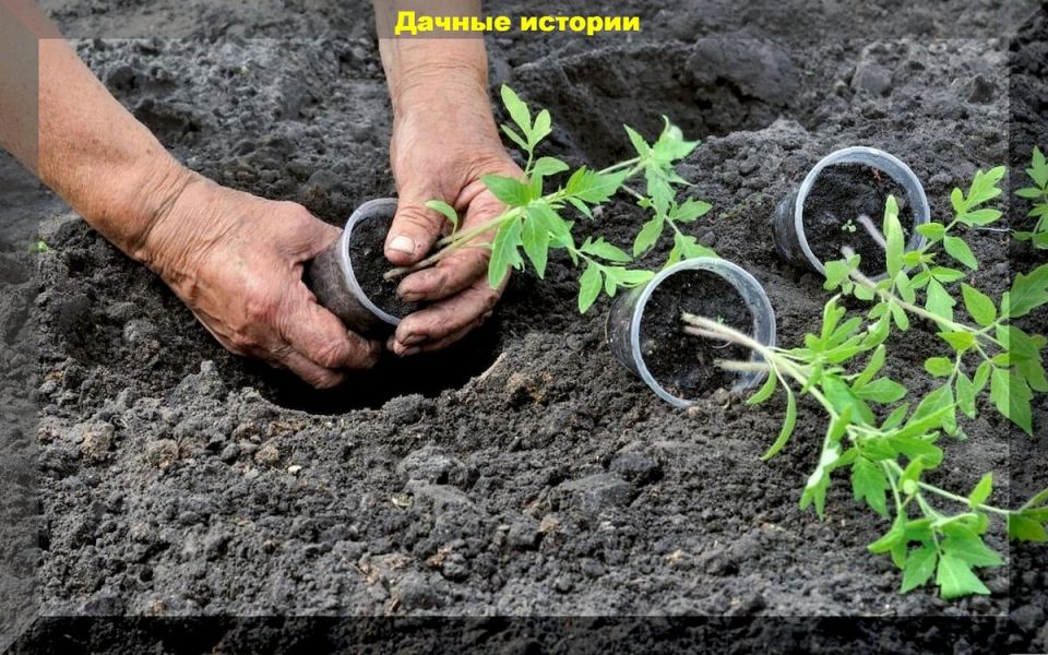 ����������� ��������� ��� �������� ������� ������� � 2025 ����