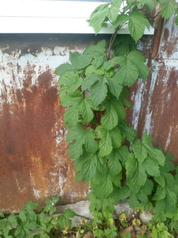 �����: ���������� �������� � ����� ��������� ������