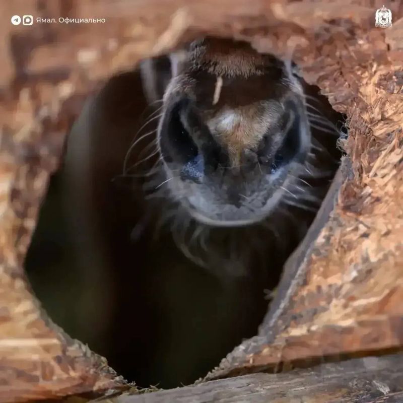 �������� �� ������������ �����, ��� ������� ������ ��������