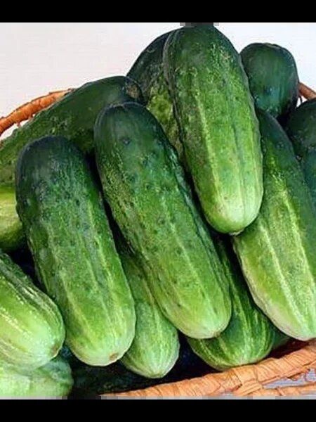 ������ ��������: ��������� ��������� ��� ������ �������