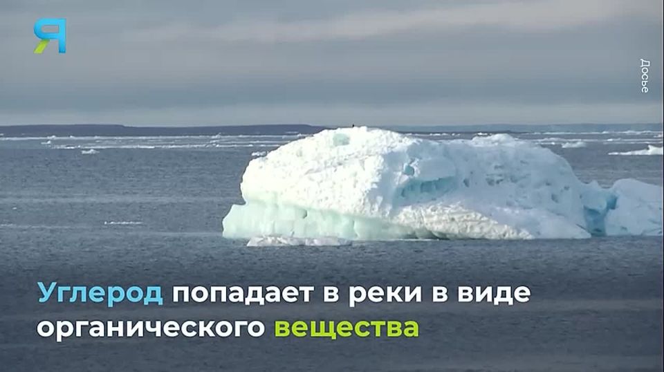 ������� ������������ �������: ������ ������������ � ����� ������� ����������