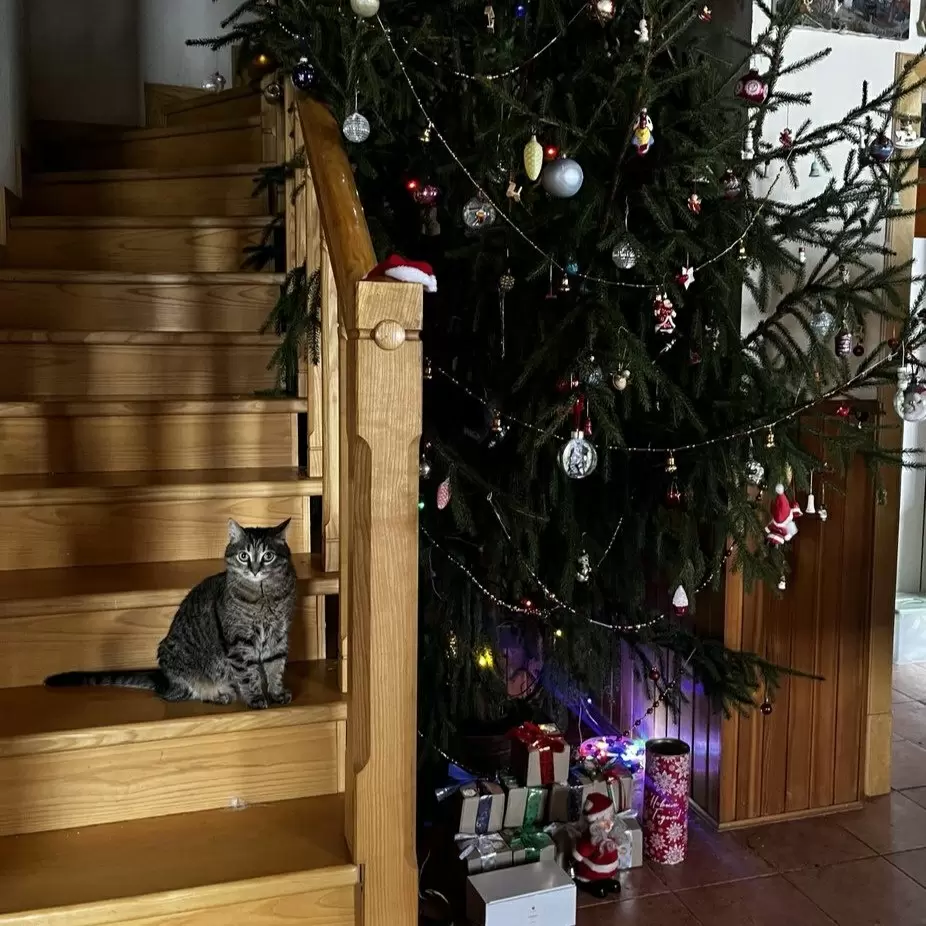 Праздничные рецепты, которые зарядят энергией после новогодних застолий