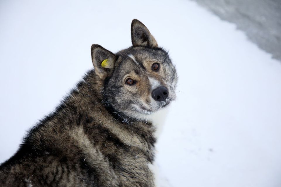 ���������� �������� �� ��������� �����