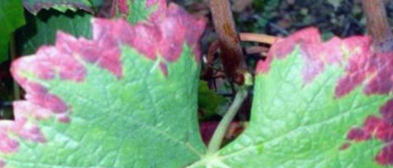 ������� �������� ���� � ������� �� ������� ��������