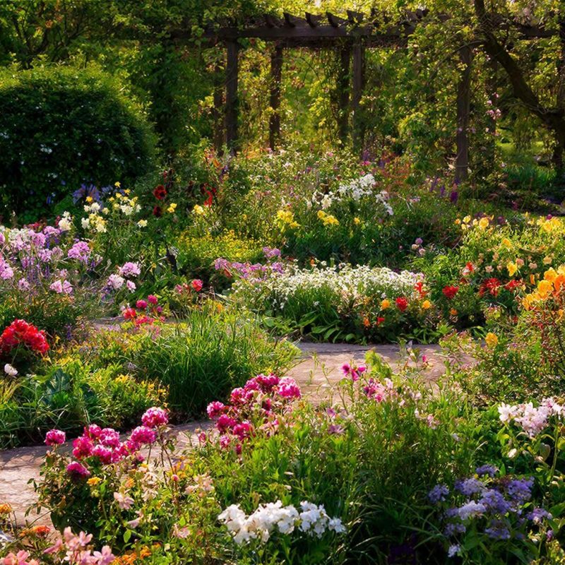 �������� �������: ��������, ������� ������ ���� �� ������ ����������