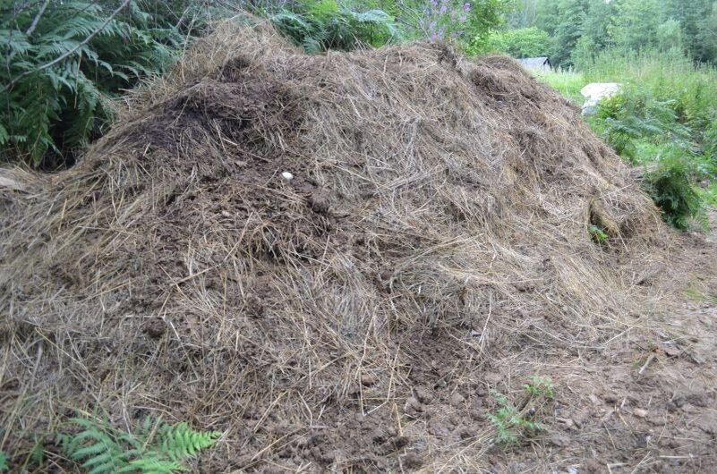 ����������� ������ � ������: ��� ������� ����������� ���������� ���� � �������