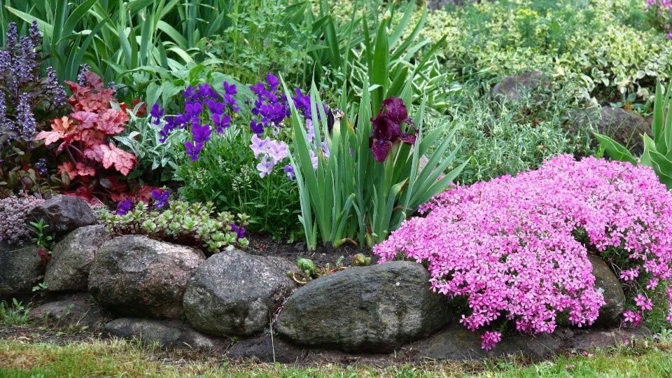 ��������� �����: ������ �� �������� ����������