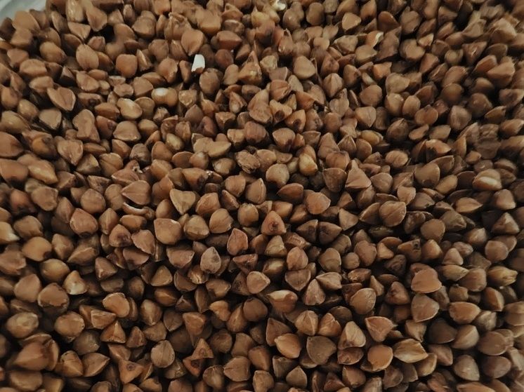 ���������� ����: ����������� ���������� ����� ������ � �������