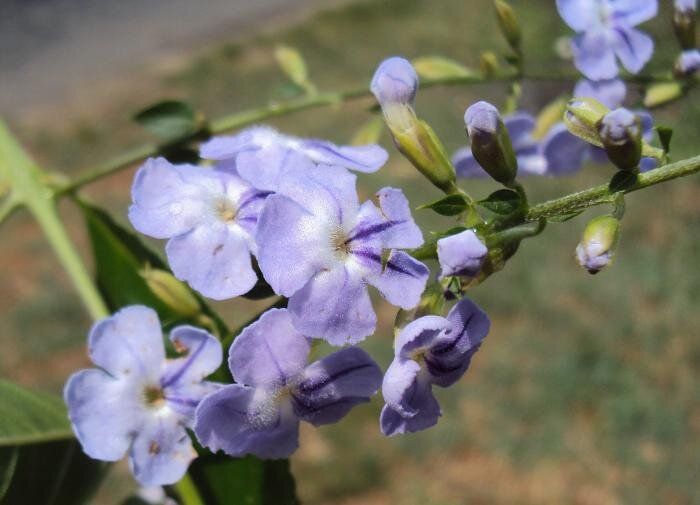 �������: ��� �������� ��� ���� ��������� �����������