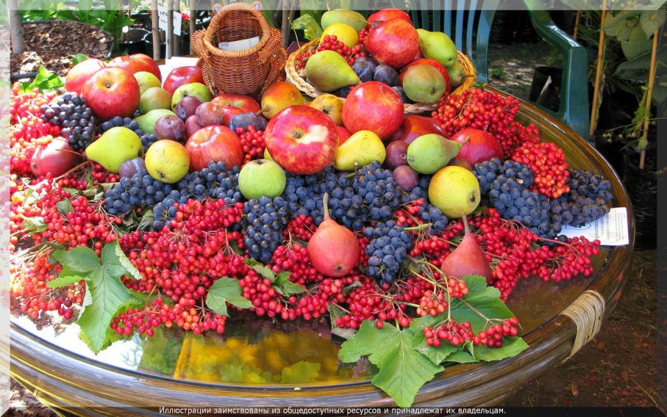 ������, ������� ����� �������� ��� ������ � �������� ����