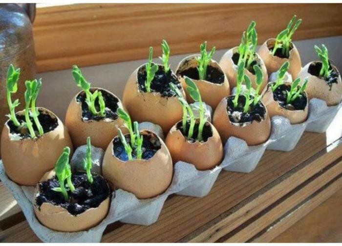 ��������� ������ ��� ��������� ����������� �������