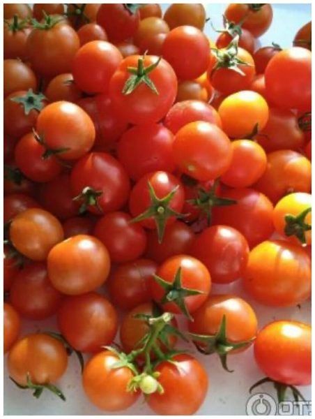 ����� �������� ������: ������������ ��� ������� ������ � ������