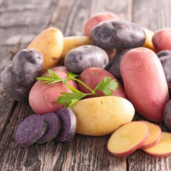 ���� ��������� �����: ����� ���� � ������� ������