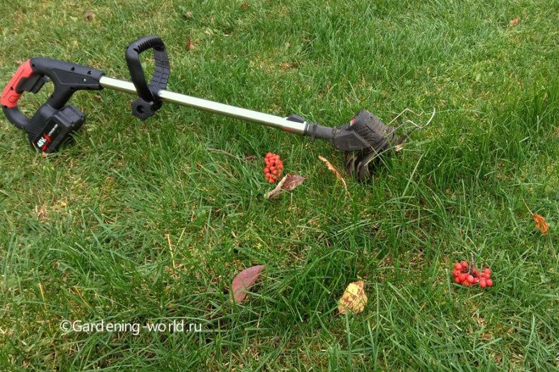 ��� ��������� ����������� ����� � ����: ������ �� ������� �������