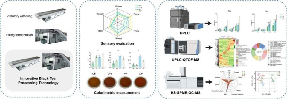 ��� ����� ���������� �������������� ��� ���: ������� ����� ������ ���������� ��������