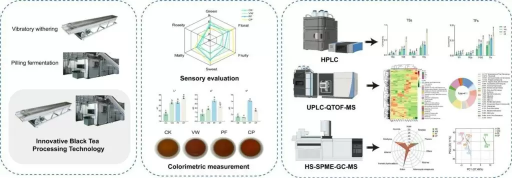 Как новые технологии трансформируют мир чая: будущее через призму межвидовой миграции