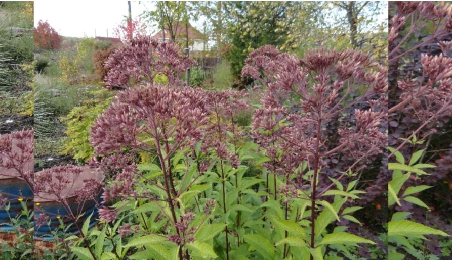 ���������: ������� ��������� ����������� ��������� �������� ��� ������ ����