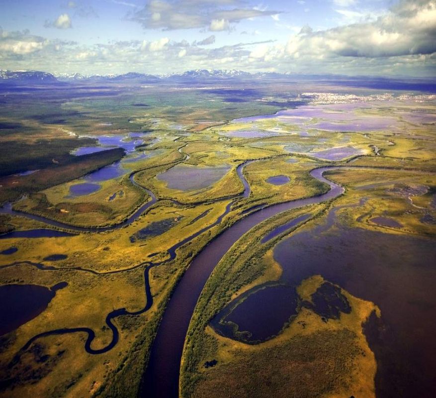 ������ ����� � ������ ����� 2026 ���� ������ ������ �������� �� 12 �������, ��� � ����� 2025