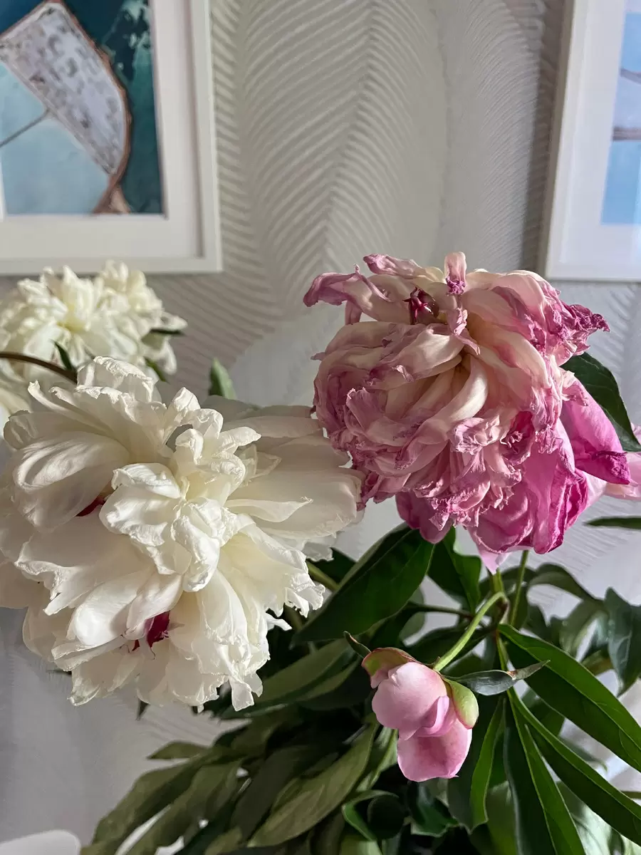 Кулинарные приключения и вдохновение: от котлет до пробежек под дождем