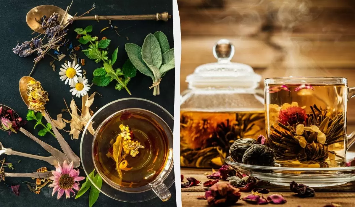 Травяной чай: как ежедневное употребление меняет ваше тело