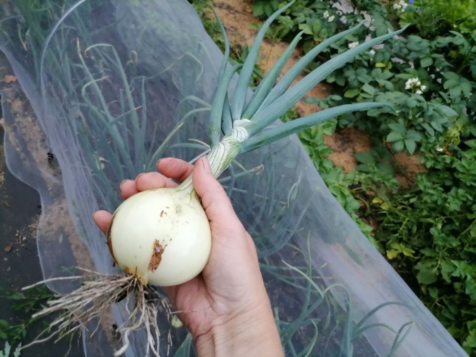 ���� �� ����� � ����: �������� �������