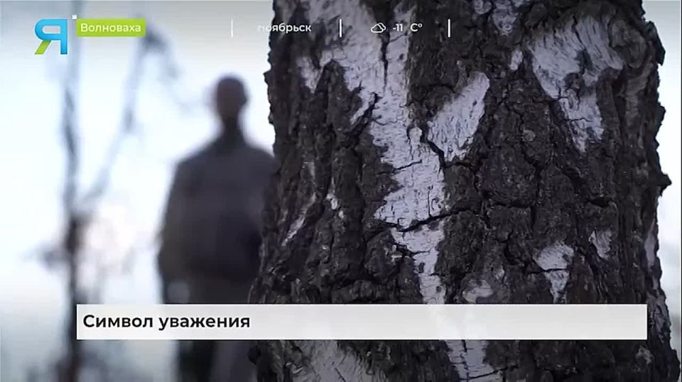 ���� � ��������. � ��������� ������������� ������ ����