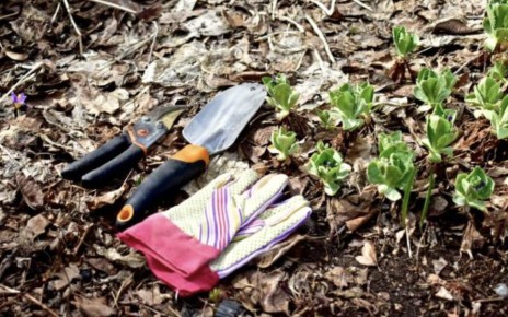 ������: �������� �������� � ���� � �������